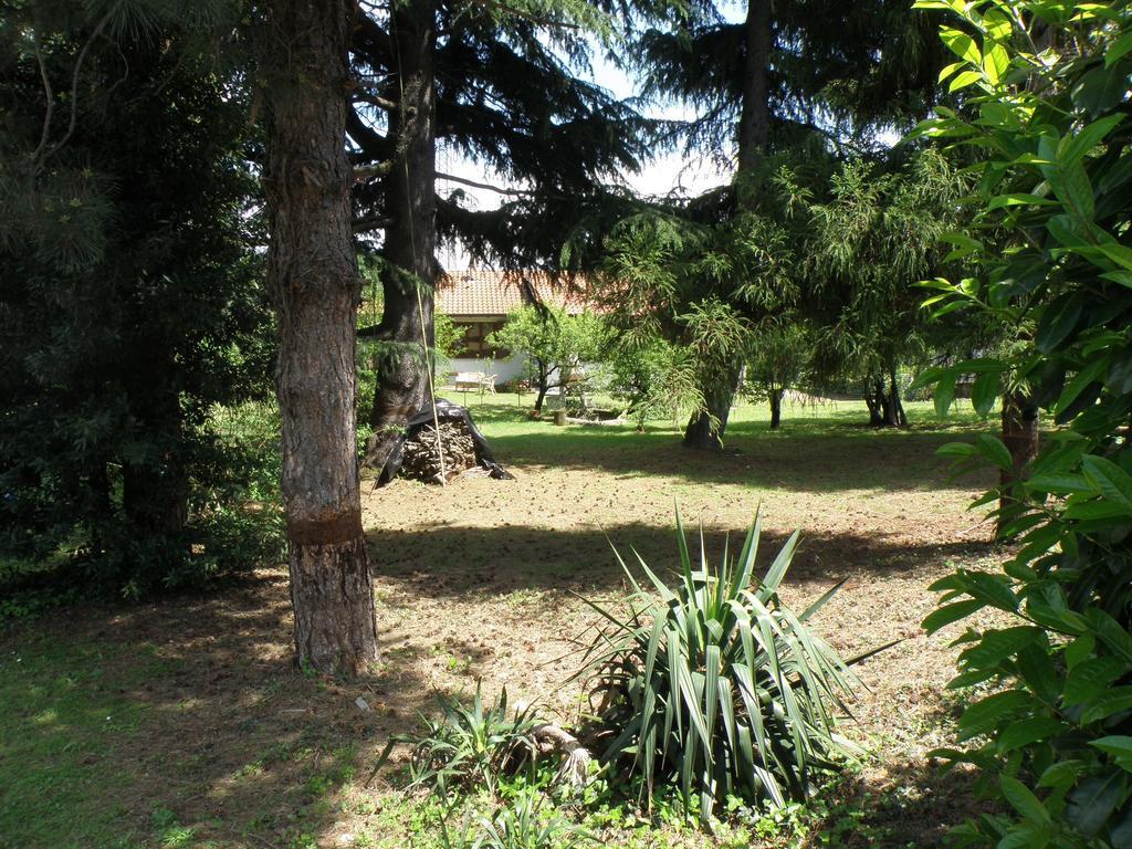 B&B Villa Mirella Casnate Con Bernate Exteriör bild